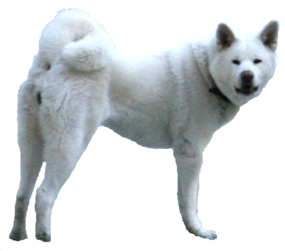 �ber uns.13.ichiban