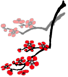 über uns.11.kirschblüte3